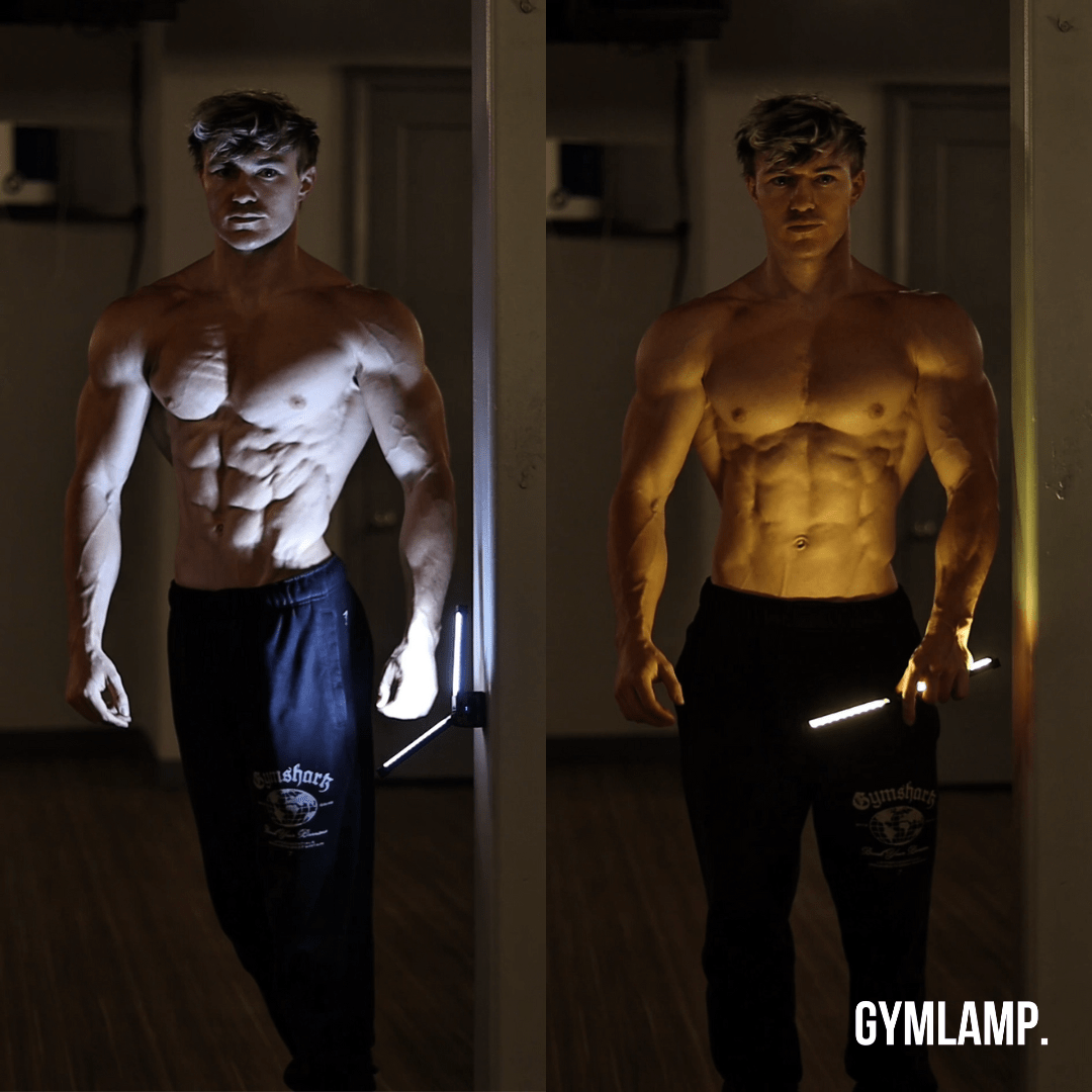 Professional GYMLAMP™