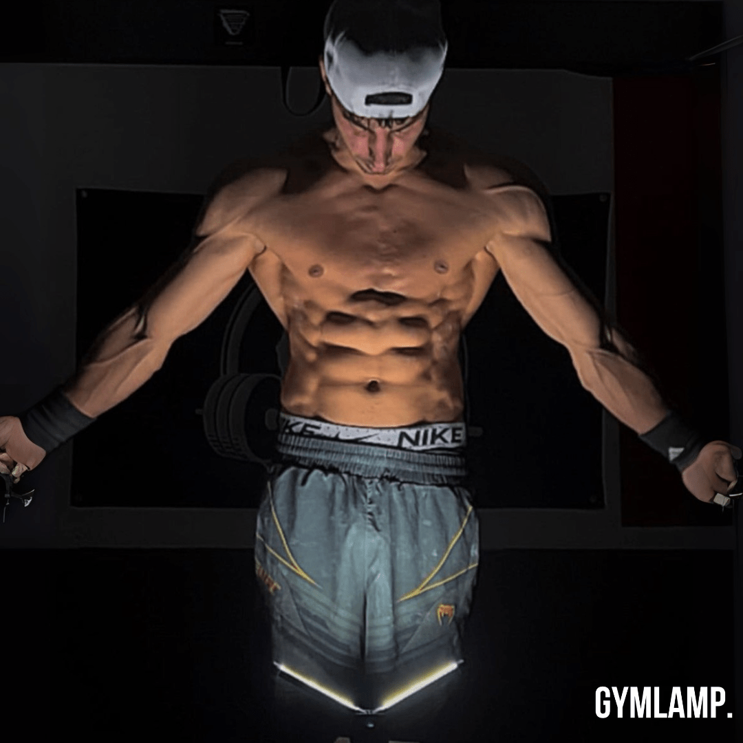 Professional GYMLAMP™ - GymLamp