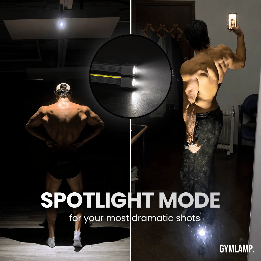  GYMLAMP™ Profissional