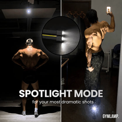  GYMLAMP™ Profissional