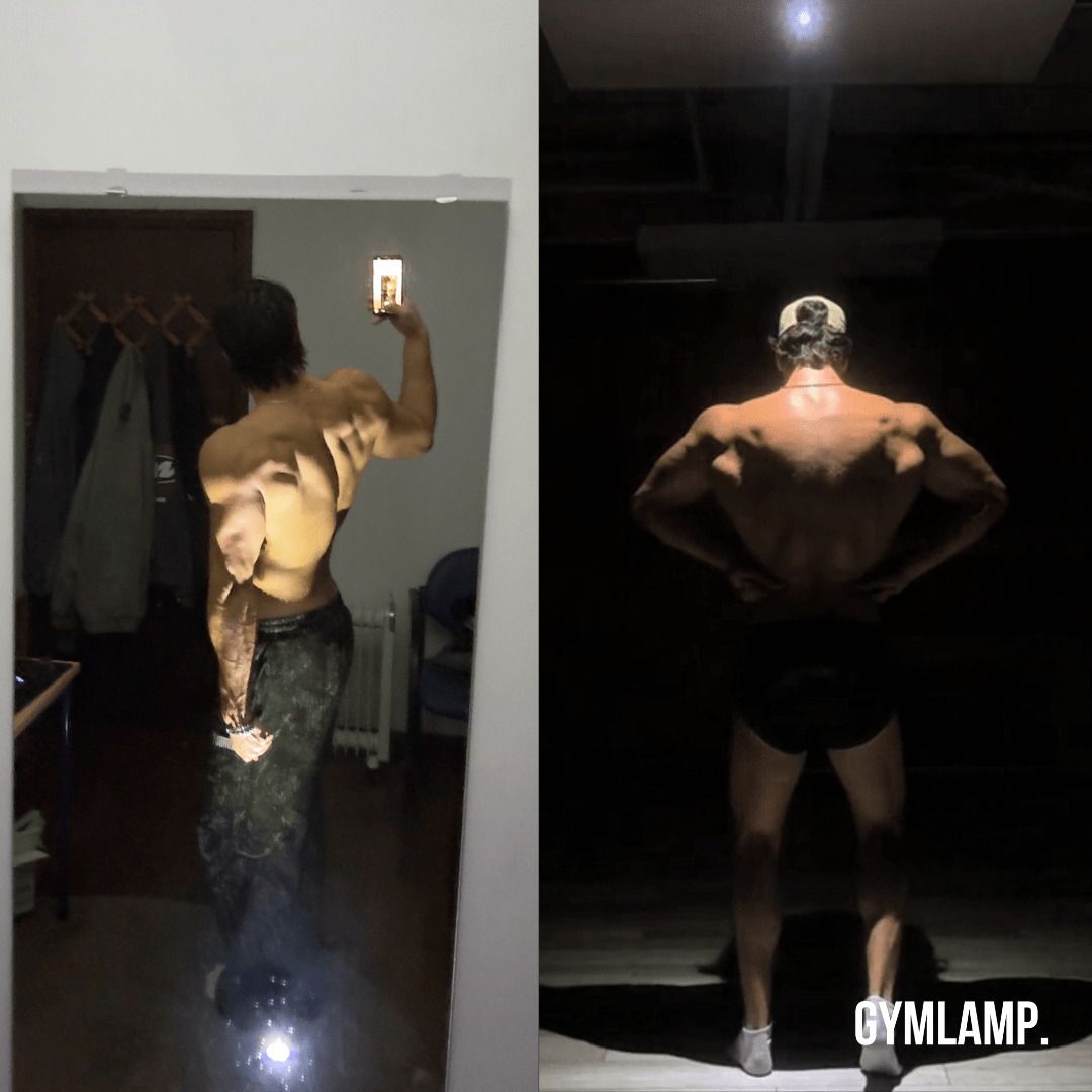 Professional GYMLAMP™